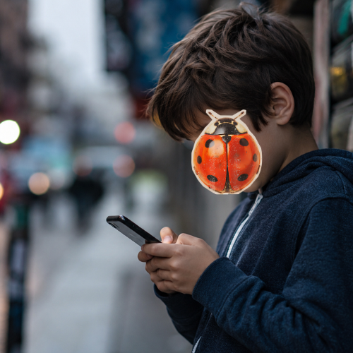 Child exploring digital media